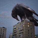 Aves: esas ratas voladoras que sostienen la vida (aunque te den asco)