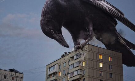 Aves: esas ratas voladoras que sostienen la vida (aunque te den asco)