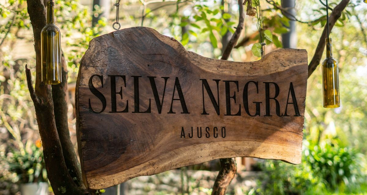 Selva Negra: Un Refugio de Sabor en las Alturas