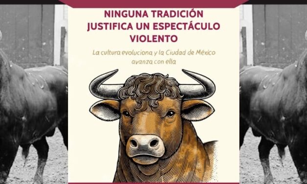 Ciudad de México aprueba corridas de toros sin violencia: un cambio histórico en la tauromaquia capitalina