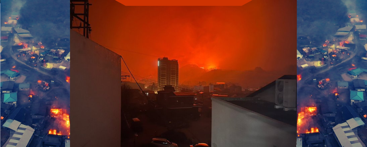 Devastadores Incendios en Corea del Sur: Pérdida Irreparable de Patrimonio Milenario