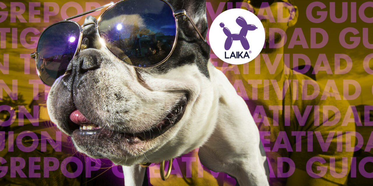 Laika – Creando contenido para lomitos