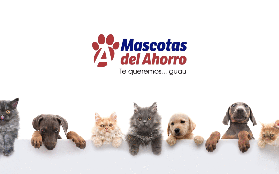 Farmacias del Ahorro entra a la competencia de consultas para mascotas
