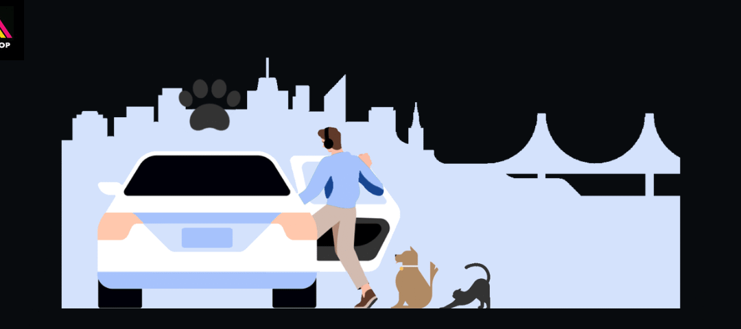 Uber Pet: Movilidad urbana con empatía animal