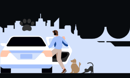 Uber Pet: Movilidad urbana con empatía animal