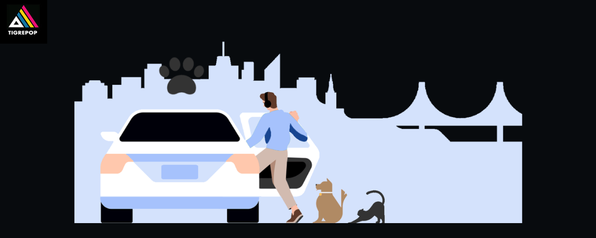 Uber Pet: Movilidad urbana con empatía animal