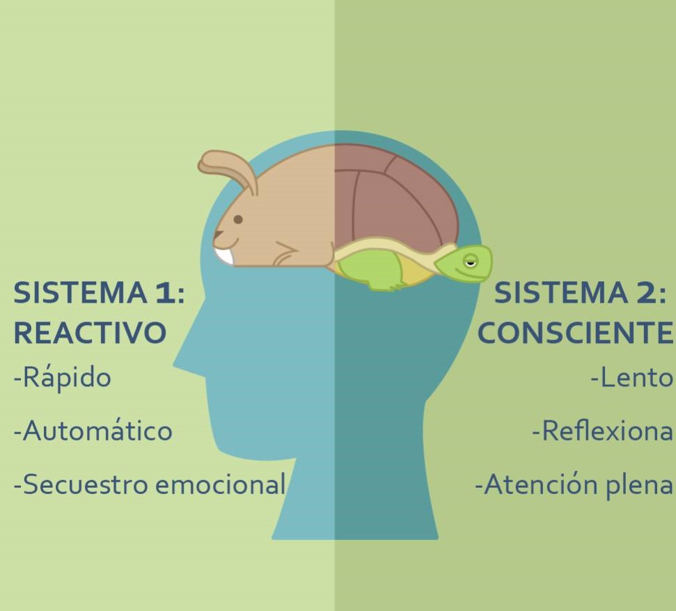sistema-nervioso-2
