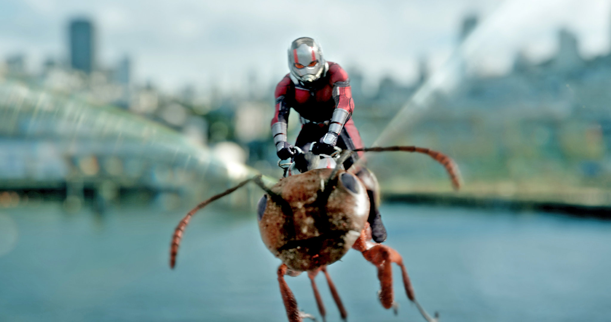 06antman1-dressrefer-superJumbo