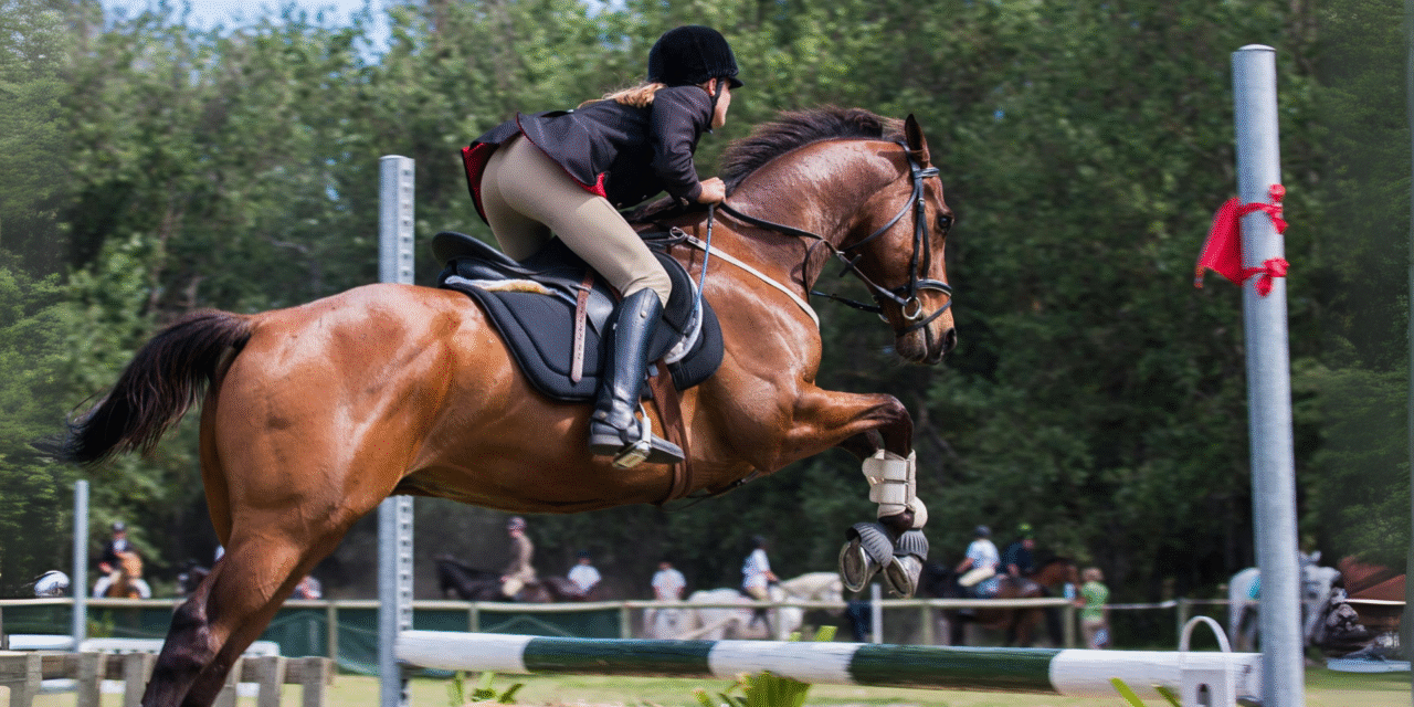  Equitación un deporte que Conecta Cuerpo, Mente y Alma