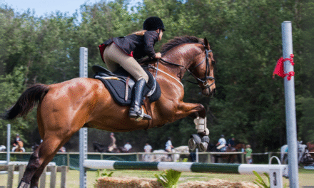  Equitación un deporte que Conecta Cuerpo, Mente y Alma