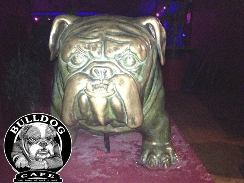 bulldog cafe tigrepop