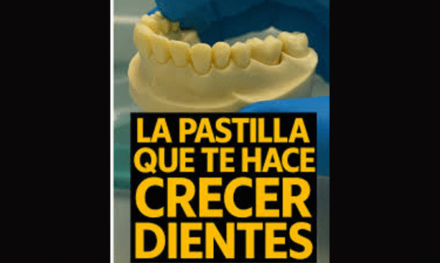 ¿Adiós a los implantes? Científicos desarrollan una droga que permite regenerar dientes perdidos
