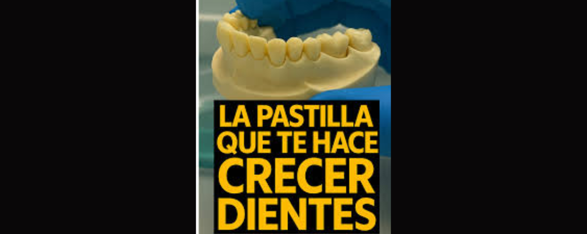 ¿Adiós a los implantes? Científicos desarrollan una droga que permite regenerar dientes perdidos