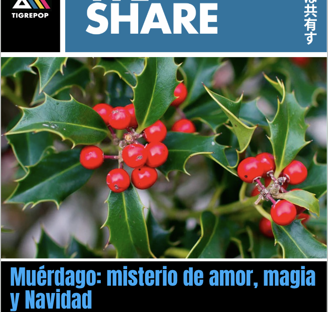 El enigma del muérdago: la planta suspendida entre la magia, el amor y la Navidad