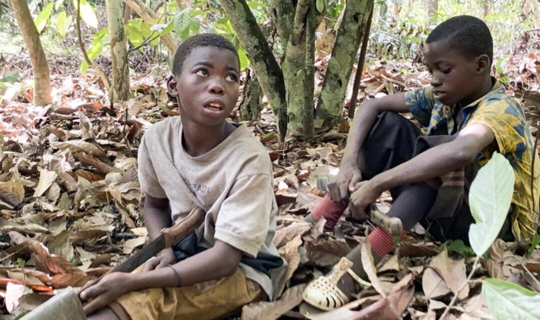 EL LADO MÁS AMARGO DEL CHOCOLATE