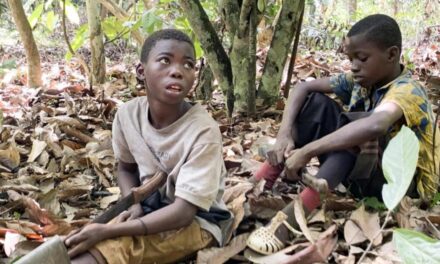 EL LADO MÁS AMARGO DEL CHOCOLATE