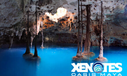 Xenotes: La Aventura Mágica para Descubrir los Cuatro Tipos de Cenotes en un Solo Día