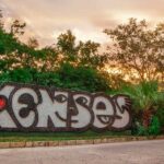 Xenses: El Lugar Donde Tus Sentidos Juegan a las Escondidas