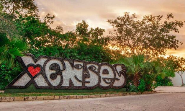 Xenses: El Lugar Donde Tus Sentidos Juegan a las Escondidas