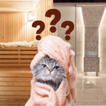 Sauna o vapor: diferencias, beneficios y cuál elegir