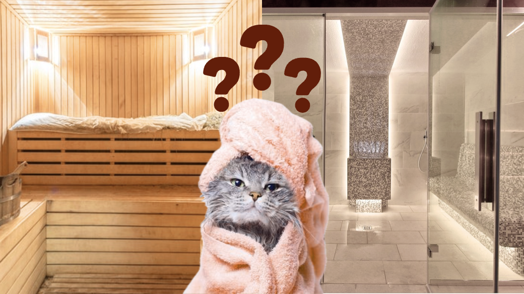 Sauna o vapor: diferencias, beneficios y cuál elegir